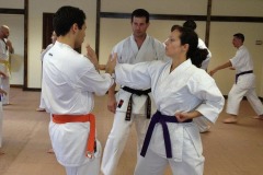 Evening Karate Programs